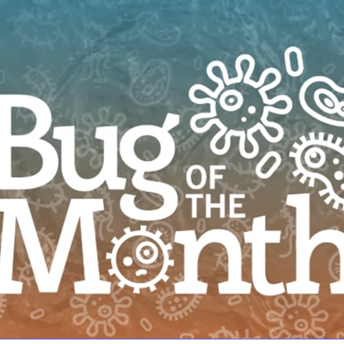 15: Bug of the Month: I'm Older Than Empires