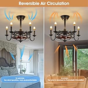 Ceiling Fan with Lights and Remote,22" Small Chandelier Ceiling Fans with Lights,Industrial Caged Ceiling Fan Light for Dining Room Kitchen,Black Ceiling Fan with Lights and Remote22 Small Chandelier Ceiling Fans with LightsIndustrial Caged Ceiling Fan Light for Dining Room KitchenBlack
