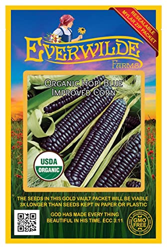 Everwilde Farms - 50 Organic Hopi Blue Improved Ornamental Corn Seeds - Gold Vault Packet