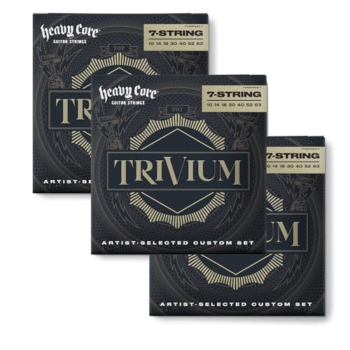Dunlop TVMN10637 Trivium Signature Heavy Core Guitar Strings - 10-63 - 7/Zbg(3pbN)