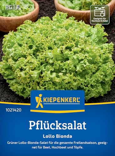 Kiepenkerl Pflücksalatsamen Lollo Bionda 1021420 - Schnellwüchsige schossfeste Salatsamen für die Freilandsaison gekrauste Blätter mit leicht nussigem Geschmack