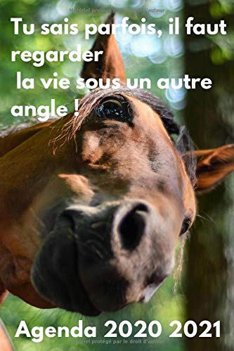 Télécharger Agenda 2020 2021: Agenda cheval 2020 2021 | Agenda scolaire 2020 2021 cheval | Agenda semainier jour Francais PDF