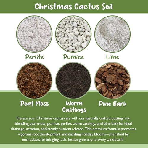 Soil Sunrise Christmas Cactus Potting Soil Mix (8 Quarts) Custom Blend for Xmas, Easter, and Thanksgiving Cactus Tropical Indoor Houseplants - Image 6