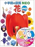 DVD付 花 (小学館の図鑑 NEO)