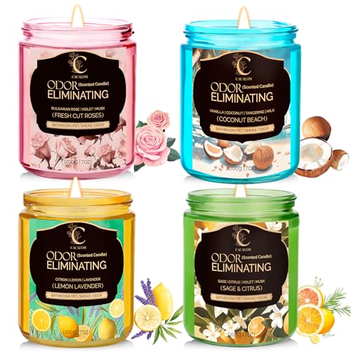 4 Pack Odor Eliminating Candles Set for Pet Smoke, Scented Candles for Home Decor Non Toxic Soy Wax Candle for Relaxing Stress Relief Women Men, 40 Hours Burning Time, House Warming Gifts for Host