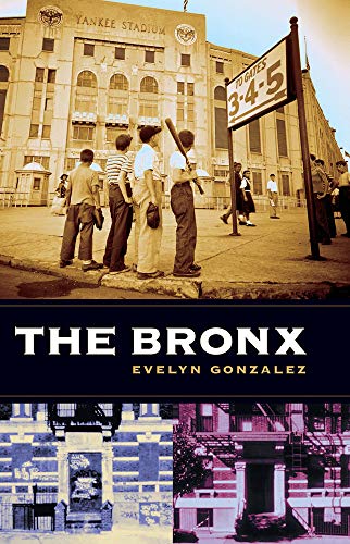 The Bronx view 2