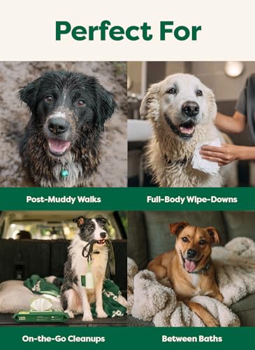 Image of Earth Rated XL Pet Wipes for Dogs & Cats, 3-in-1 Unscented Hypoallergenic Cleaning, Deodorizing and Hydrating Extra Large Grooming for Body, Paws and Butt, Unscented, 60 Count (Pack of 2)