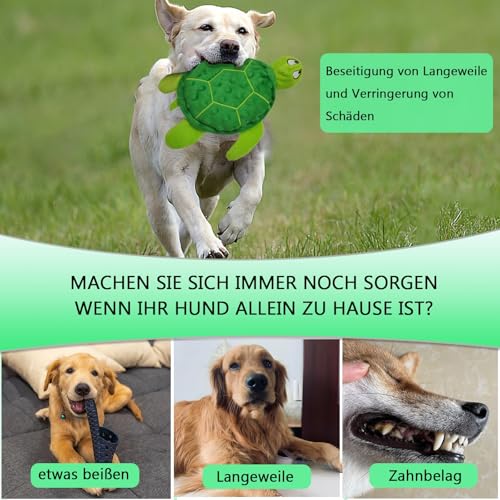 JWTEEE Hundespielzeug Quietschend - Interaktives Plüsch Meeresschildkröte Kauspielzeug für Kleine und Mittlere Hunde, Perfekt für Welpen zum Zahnen und Indoor & Outdoor Play (Grün)