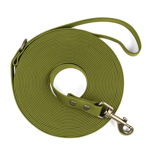 Wisedog Long Leash for Dogs Outside 10FT Green