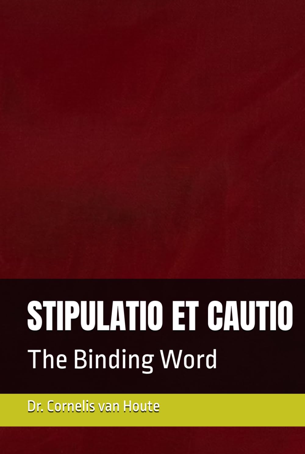 STIPULATIO ET CAUTIO: The Binding Word (Roman Law Series)