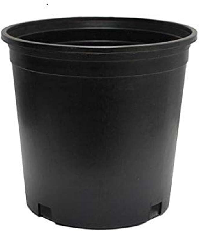 3 gallon pots for plants