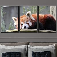 3 Piece Framed Canvas Wall Art Firefox Rustic Urban Canvas Prints Home Artwork Decoration for Living Room,Bedroom - 16