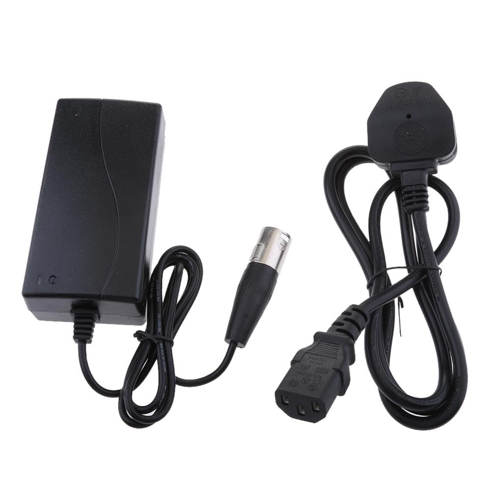 BNF®24v Intelligent 3-Stage Lead-Acid Battery Charger for Electric Bicycle UK| Multipurpose Batteries & Power|Battery Chargers|Package Includes:1Pcs Electric Bicycle Charger (UK)-picture-42
