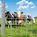 Garvee Cattle Fence 6 ft x 164 ft, Heavy Duty Galvanized Wire Fencing for Deer, Goat, Hog, Sheep, Heavy Zinc Coating Farm Wire Fence for Livestock & Yard Protection