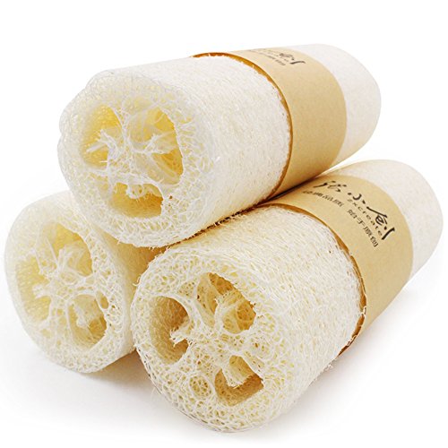 Explore Lifez Natural Loofah Exfoliating Bath Sponge Scrubber Large Size,Set of 3 (Sponge)