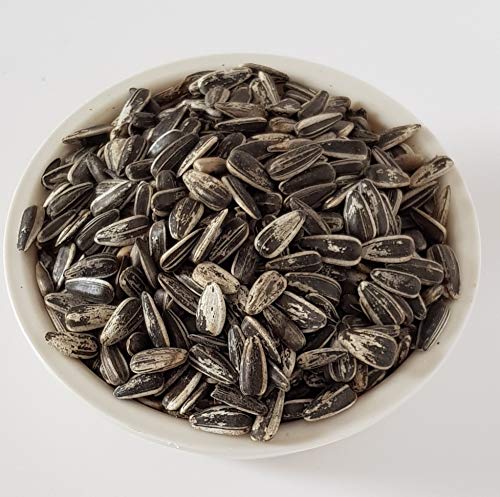 Aimé - Graines de Tournesol pour Oiseaux du Ciel Sauvages 3kg - Nourriture Oiseaux Extérieur pour Rouge-Gorge, Pinson, Mésange - Source de Matières Grasses – Image 4