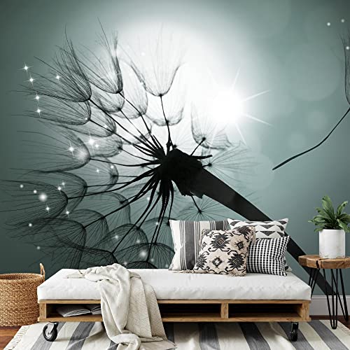 Sfondo Fotografico Fiori Dente di leone Lana