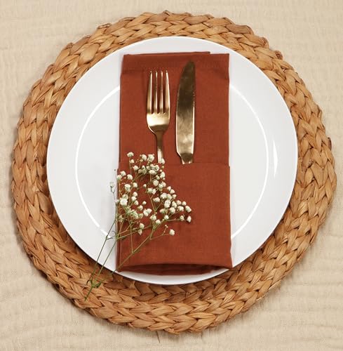 PurpleEssences-Rust-Set-of-12-Cloth-Dinner-Napkins-100-Cotton-18×18-Inch-Soft-Durable-Washable-Ideal-for-Farmhouse-Party-Spring-Summer-Easter-Perfect-Everyday-Use-Table-Linen-Rust PurpleEssences Rust Set of 12 Cloth Dinner Napkins 100 Cotton 18×18 Inch Soft Durable Washable Ideal for Farmhouse Party Spring Summer Easter Perfect Everyday Use Table Linen Rust