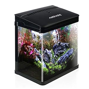 Nobleza – Acuario de Cristal con Cubierta y Luces LED. Sistema de Filtro de 14 litros. Color Blanco