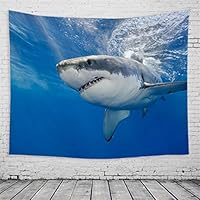 がうる・ぐら 活動4周年記念　海のサメ 等身大タペストリー 🔱商品情報🔱 「#がうる・ぐら（@gawrgura) 活動4周年記念グッズ」販売