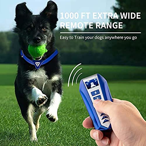 Dog Bark Collar in Use