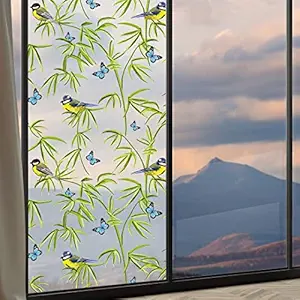 CVANU Privacy Window Film Printed Sticker Frosted Vinyl Sheets for Front Door/Bathroom/Sidelight/Small Windows (Multi, CV-20, 24''x48'')