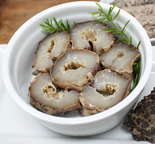 Dabc Oak Land Arctic Sea Cucumber thumb #4