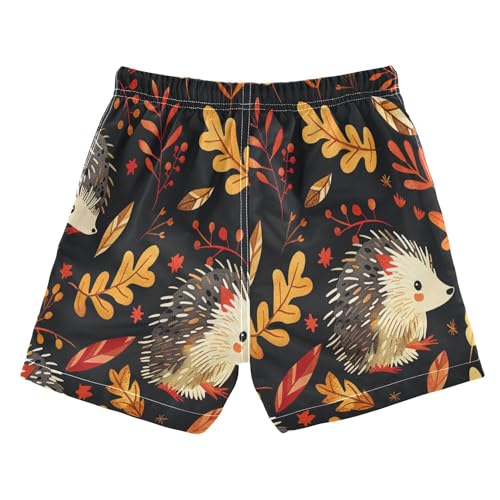 Boys Swim Trunk Quick Dry Autumn Hedgehogs Leaves Berries Board Shorts Swimwear 6-12T2