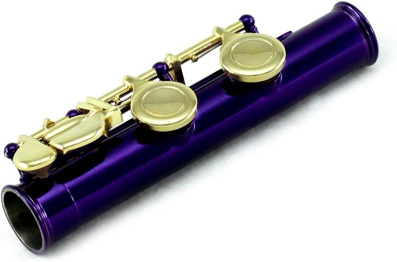 Sky Closed Hole C Flute with 1 Year Manufacturer Warranty, Guarantee Sound with Lightweight Case, Cleaning Rod, Cloth, Joint Grease and Screw Driver (Purple/Gold Open)