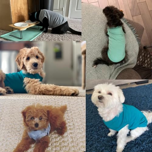 YAODHAOD Cotton Hundekleidung Einfarbige Hunde T-Shirts Kleidung, Sonnenschutz Hund Baumwollhemden Weich und atmungsaktiv, Hundehemden Bekleidung Fit für kleine mittlere Hundekatze(Schwarz / Grau, L