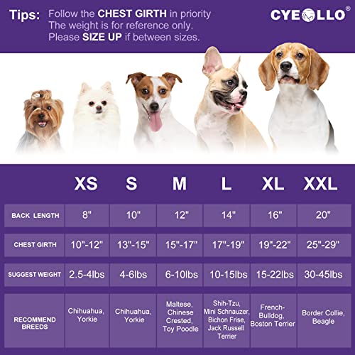Cyeollo Dog Dress For Small Dogs Valentines Day Holiday Theme Outfit Xxoo Pet Clothes Heart Pattern Chiffon Skirt Girl Dog Dresses Female #TOP3