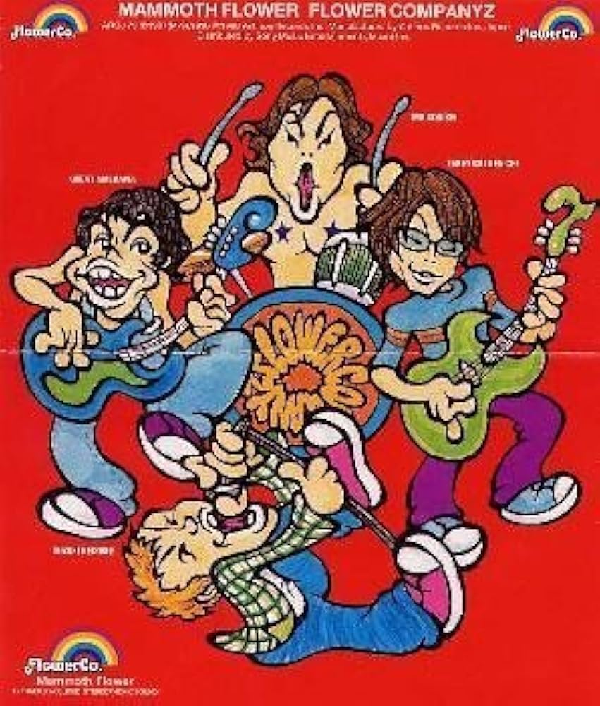 FLOWER COMPANYZ フラワーカンパニーズ CDセット 19枚 FLOWER COMPANYZ フラワーカンパニーズ CDセット 19枚