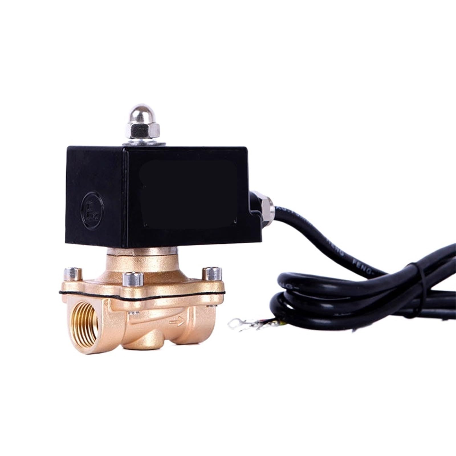 Électrovanne 1 pouce 220V alternative en laiton normalement fermée action directe pour filetage NPT