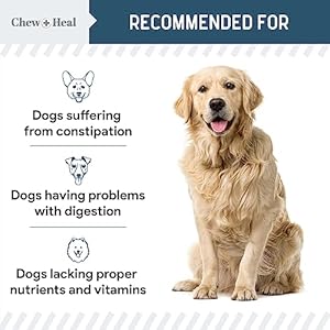 Digestive Enzymes with Probiotics for Dogs – 120 Soft Chews – Supports Healthy Digestive Tract, Helps Nutrient Absorption, Food Digestion, and Health Maintenance