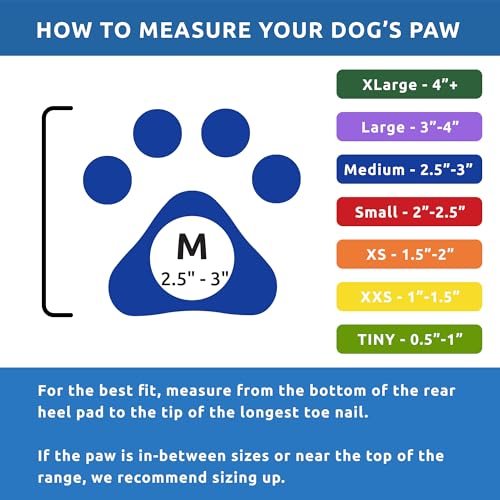 PAWZ PAWB-M Hundestiefel, schwarz