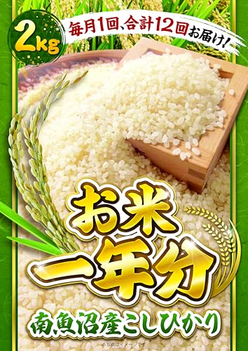 NE2kgR[X싛YЂ聃plI ii ژ^ pl St Ry rS  񎟉 YN e Г\ ̑ {EOmiip[Nn