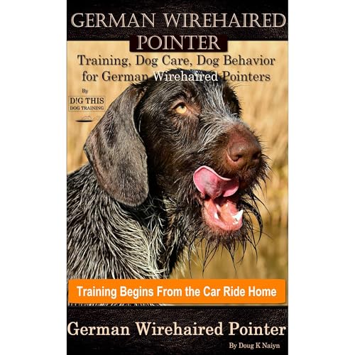 German Wirehaired Pointer Training, Dog Care, Dog Behavior, for German Wirehaired Pointers By D!G THIS DOG Training, Dog Training Begins From the Car Ride Home, German Wirehaired Pointer by Doug K Naiyn episode artwork