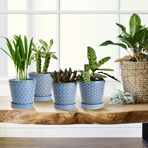 Image of EFISPSS Plant Pots,5 Inch Pots for Indoor Plants,Planters with Drainage Hole and Saucer, Ceramic Flower Pots Desktop Office Windowsill Decoration Gift Set of 4 - Sky Blue