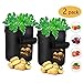 Produktbild Vibeey 2er Pack Kartoffel Pflanzbeutel,7 Gallonen Pflanztasche mit Sichtfenster und Griffen, Vliestopfbehälter für Kartoffeln, Karotten, Tomaten, etc.
