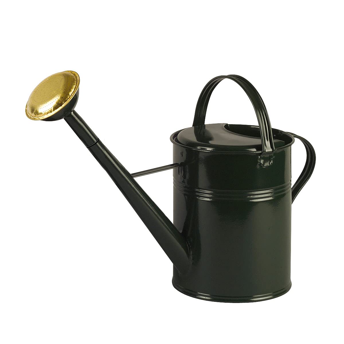 Gießkanne Deluxe 9l grün