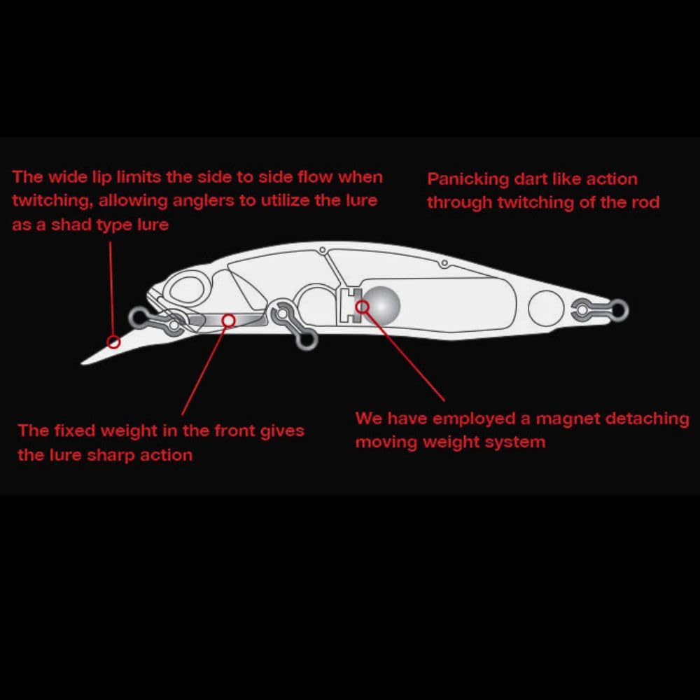 Duo Realis Rozante 77SP ACC3008 Neo Pearl