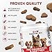Probiotics for Dogs Digestive Health - Probiotic Chews for Gut Health, Itchy Skin Yeast, Diarrhea - USA Product - Immune Support Supplement - Dog Digestive Support & Allergy Relief Chews with Enzymes