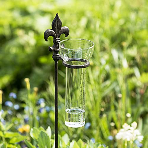 Foto von SIDCO Regenmesser Gußeisen Gartenstab Niederschlagsmesser Deko Gartenstecker Erdspieß
