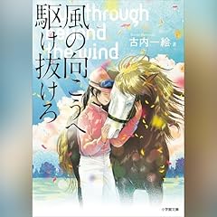 『風の向こうへ駆け抜けろ』のカバーアート