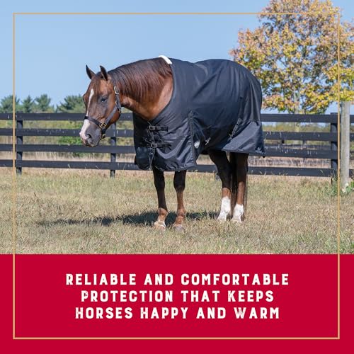 Weaver Equine 1200D Economy Turnout Blanket for Horses, Insulated Waterproof Horse Blanket with Wither Fleece, Protective Equestrian Gear - Image 2