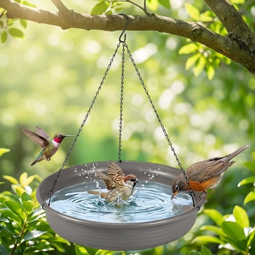 Image of CARGEN Hanging Bird Bath Bird Feeder - 11.8inch Water Feeder Tray Outdoor