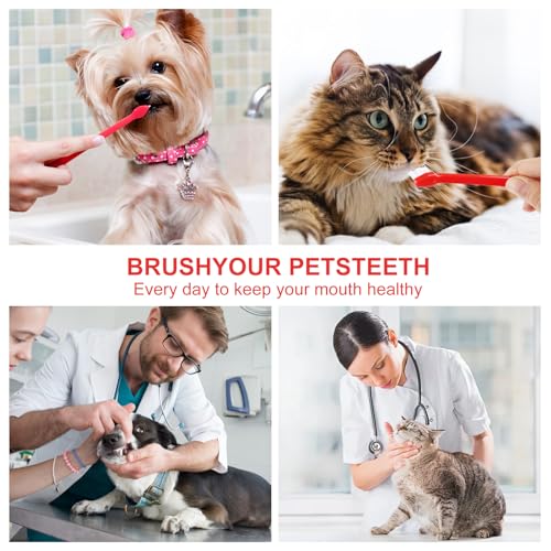 200Pcs Dog Toothbrush,Dog Cat Pet Dual Headed Dental Brushes,Soft Bristles Pet Toothbrush Kit Long Handle DogsTooth Brush for Large and Small Dogs Cats Most Pets Teeth Cleaning Oral Care Supplies - Thumbnail 6