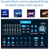 InAndOn Karaoke System, 22 inch Karaoke Player with Wireless Microphone, Cloud Song Update, YouTube, Movie, KTV Machine 4T