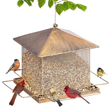wild bird seed feeder large capacity that will transform your backyard 2 wild bird seed feeder large capacity