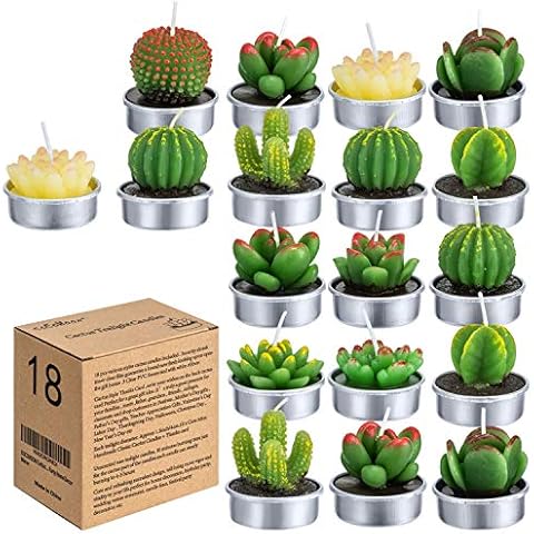 Cactus Tealight Candles Gift Set Cover
